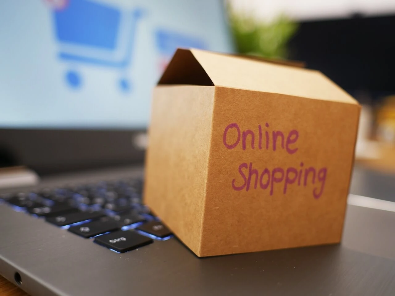 Online e-shop tvorba
